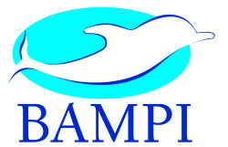bampi Artioli Termoidraulica Piubega